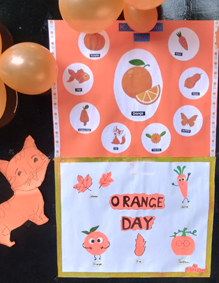 Orange Day Celebration